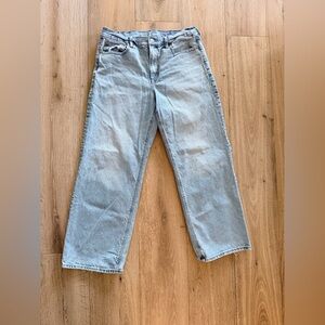 American Eagle Outfitters Sky Blue Wide Leg Jeans
